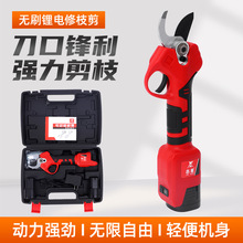电动果枝剪 电动修枝剪园艺剪刀 充电式锂电园林粗枝剪果树电动剪