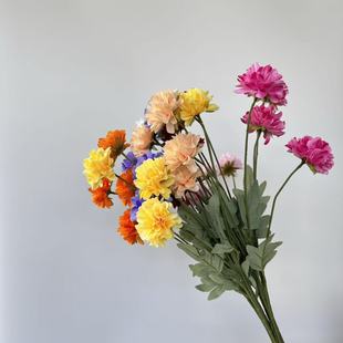 4�^�|����շ��滨��c�Y�û���·���廨�Ƶ��쾰��ˇ�����[�O
