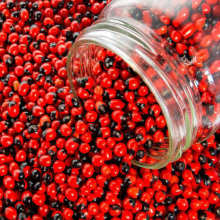 ���ܷN���uĸ���N�Ӻ��t��������˼����ȸ����˼�Ӷ����t���N��