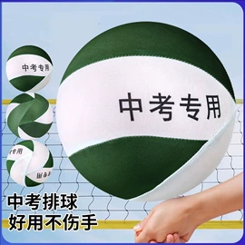 球类;篮球;排球