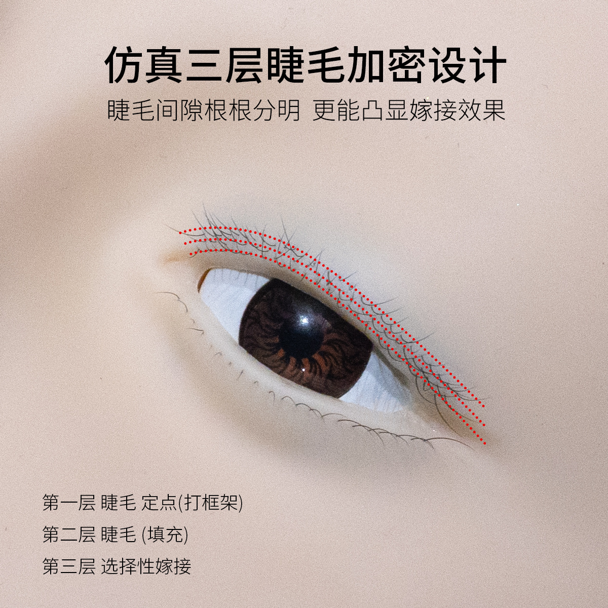 专业眉眼练习板主图3.jpg