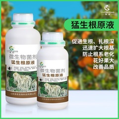 洛聖猛生根原液強力生根壮苗移植挿し木果物野菜花緑植専用促根壮根肥