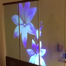 ȫϢͶӰĤ ͶӰ�x�����V���NĤ��ͶĤ3d�� 45�ȷ���Ĥ