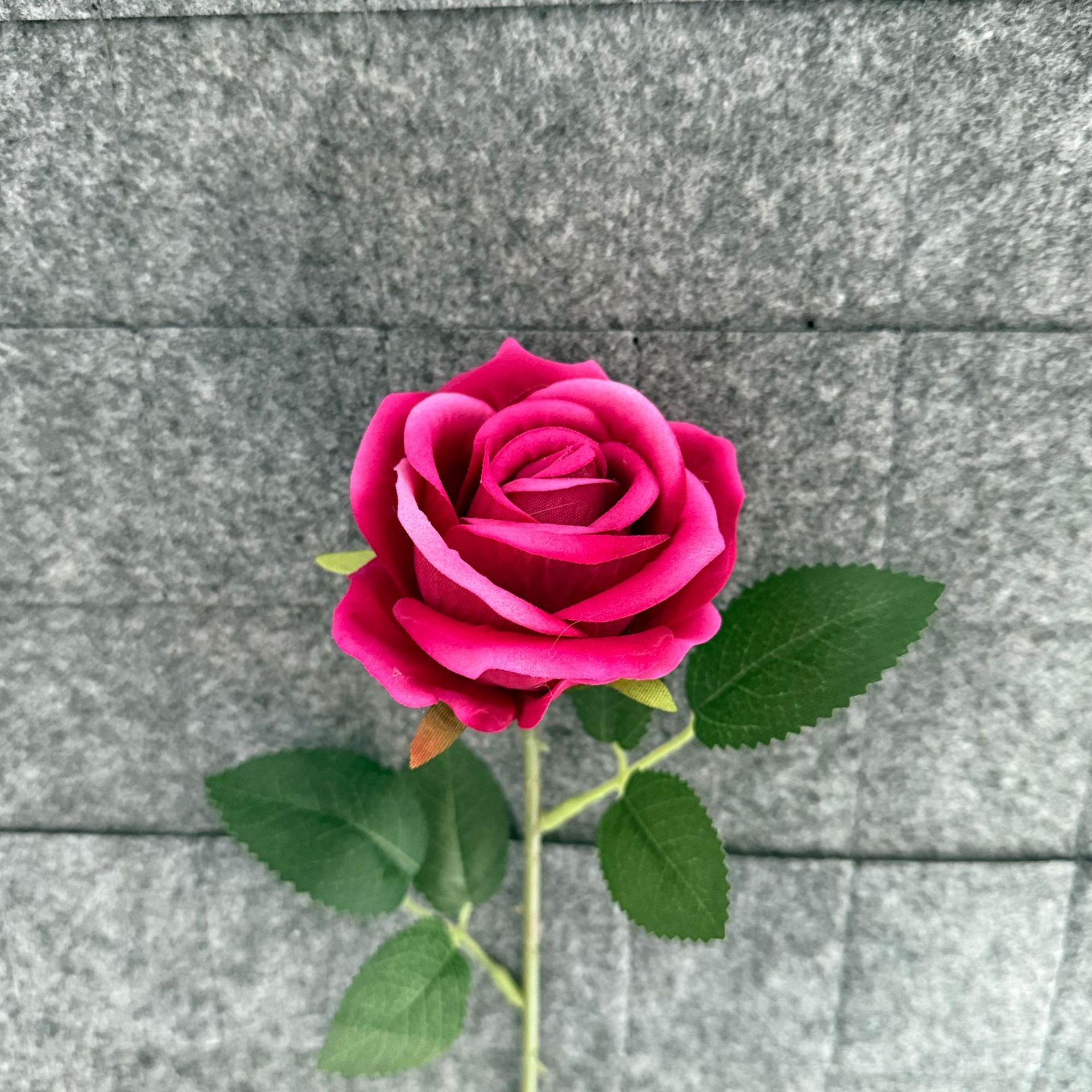 로즈 레드