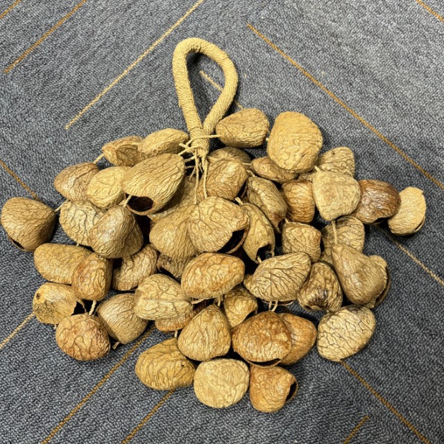 PANGJI Handbell-Medium