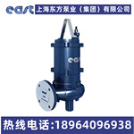上海东方泵业 50WQ11101 11101A 11092 11092A 11091污水泵