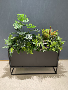 ����Gֲ�JȔ�����~���ۻ���řڶ��ƻ�ˇ�Ƶ��̈����ֲ��b�