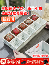 美莳控根多肉花盆长条形塑料透气小号方盆和营养土带托盘包邮
