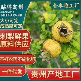 刺梨/刺梨原浆;其他果干蜜饯;代用/养生茶