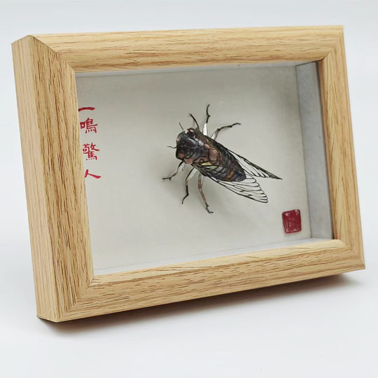 Wuhu Iron Painting Living Room Is Amazing Ornaments Handicrafts Anhui Special Gifts Conference Room Business Souvenirs