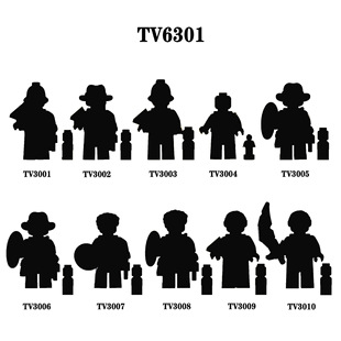 TV6301�Ӱ�ҕð�Uϵ��ƴ�b�eľ���д��bTV3001-3010