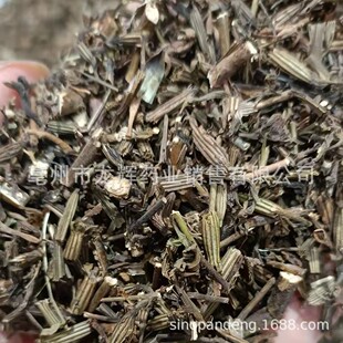 Traditional Chinese Herb Medicine Export ANOMALOUS WORMWOOD
