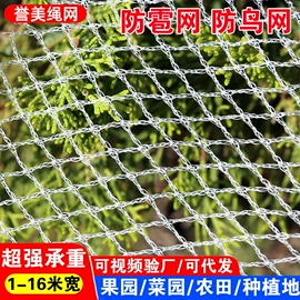 遮阳网;盖土网;防雹网