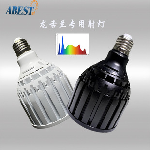 Special Fill Light for Agave and Cactus, Full Spectrum Plant Growth Light 40W, Tuberous Succulent Indoor Fill Light