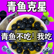 ���~����ܛ�D��ើ����w��Ұឺڿ���~������ˮ��������~�D