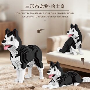 ؐ���Ϸeľ؈�乷������ϵ�����ǃ�ͯƴ�b�≺�����Ů���Y�����l