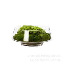 现代新中式永生苔藓仿真盆景盆栽样板房会所酒店茶几玄关台面花艺