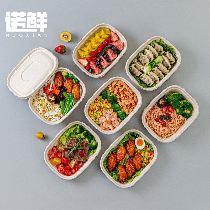 一次性纸浆餐盒沙拉盒外卖寿司盒打包盒减脂轻食便当盒全降解饭盒|undefined