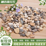 豆石滤料 南京豆石批发 纯天然地暖用豆石滤料 小石头杂色鹅卵石