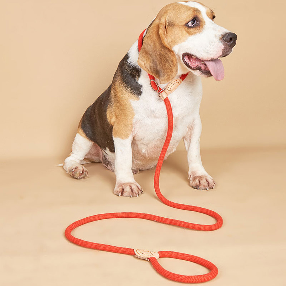 Venta caliente suministros para mascotas cuerda correa de perro resistente fuerte correa de perro P cuerda de deslizamiento correa para mascotas al aire libre para caminar perro grande