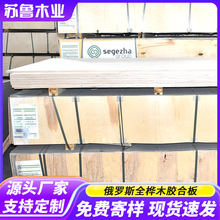 批发俄罗斯全桦木胶合板海洋板平整易加工抗弯曲实木多层板衣柜板