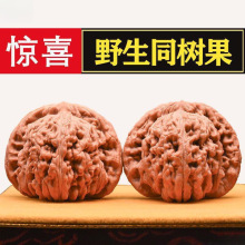 ��ñـ�O���@����y����������ñ�M���Ǫ{����Ƥ�������^�ǰא�