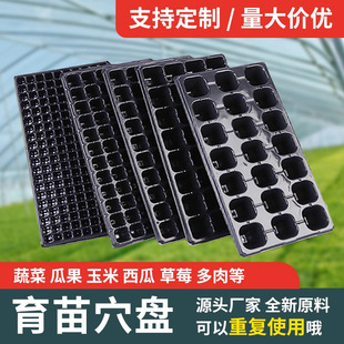 ���羳Ʒ�|���W���|�ρ����l����PѨ�P�����߲˷N�ӻ����������P