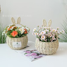 �羳��Ʒ�ö��侎�ƻ@����ʽ��ͯ������@���ֶY�廨���K���ƻ@