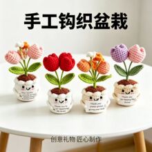 �e�O��ż�����ֹ��h��С�[�����R�d����Emotional Support Plant