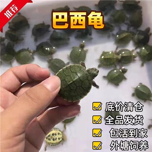 �������� �[�ؔ��߲���������BС�������l ������ɐ۰���