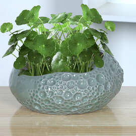 铜钱草花盆创意大口径碗莲睡莲无孔水养陶瓷花盆个性网红植物花盆