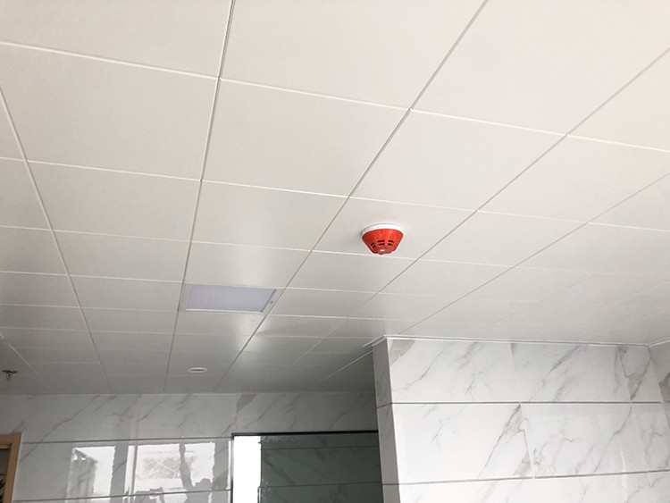 O1CN016t4fRh1cK8yxCSJRT_!!2752