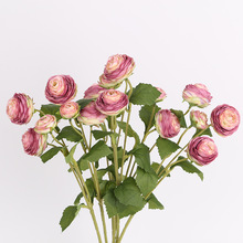 ���ռҾ���װ�ε��߷��滨СС¶����������Ӱ����������ëݹ����