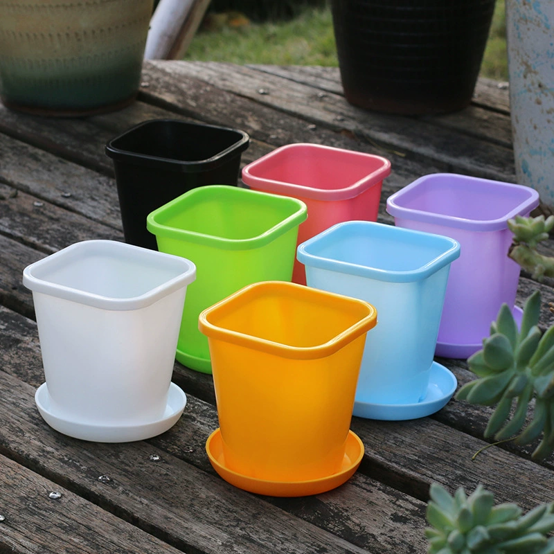 Садоводство Красочный Верхний Круглый Пластиковый Цветочный Горшок Контейнер Oxalis Специальный Горшок Мясо Горшок Цветочный Горшок Круглый