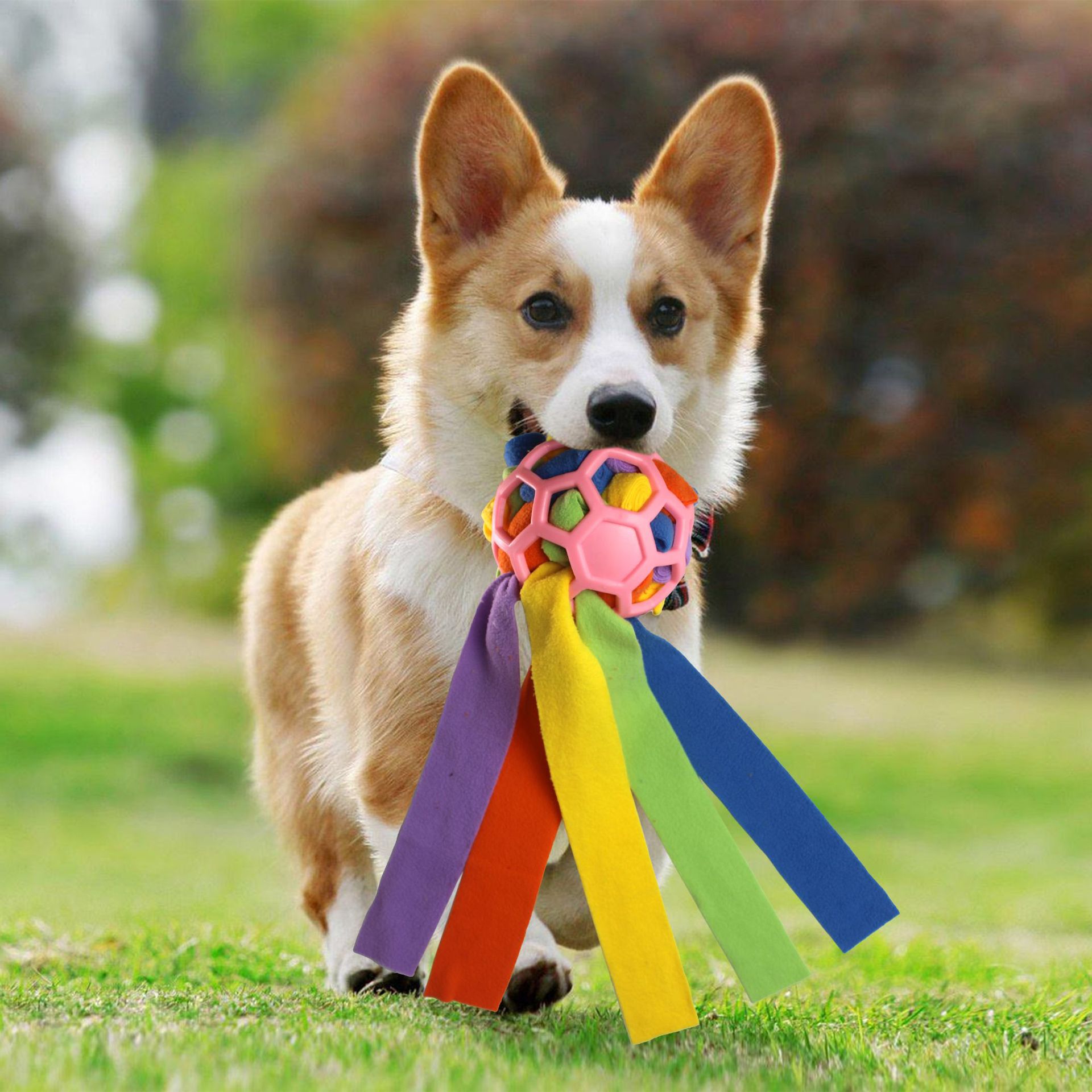 Haustierspielzeug, Schnüffelbälle für Haustiere, Blindbox für das interaktive Training mit Futterleckage für Hunde_voghion.com