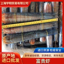 泰国富贵虾特大皮皮虾手臂长巨型海鲜水产濑尿虾虾姑批发
