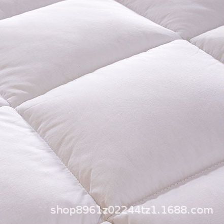 Wholesale Hotel Bedding Set with Thick Comforter, Spring and Autumn Air-Conditioned Winter Quilt, All-S Seasons Fleece Cover