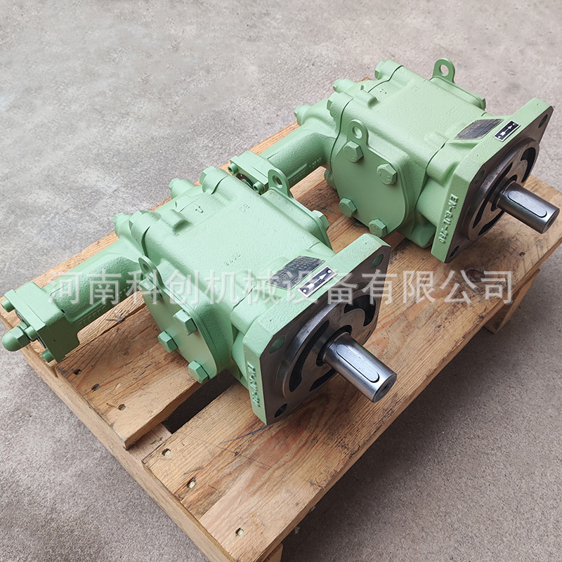 瑞克梅尔油泵 R35/53FL-Z-R齿轮泵带电机