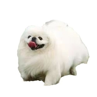 ���N������Ȯ���wС��Ȯ���͹�����Ȯ�{�ӹ�����Ȯ��ɫ���͌��ﹷ