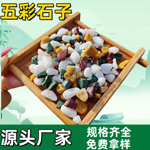 Factory supply colored stones washed stone floor glue stone gardening colorful stones terrazzo aggregate decoration