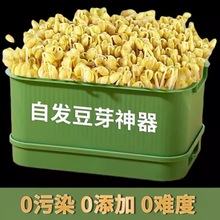 豆芽盒家用发豆芽新款豆芽种植育苗盒工具花生芽盆大容量家庭室内