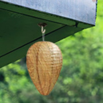 작은 종이 색상 266.4cm 인치 10x15cm