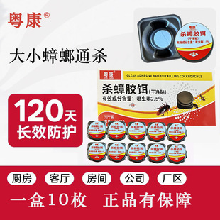 Yuekang Brand Cockroach Insecticide Household Kitchen Cockroach Bait Cockroach Medicine Box Small Black Box Convenient Sticker 10 Pieces Wholesale