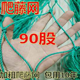 加宽加密瓜果爬藤网农用大棚瓜豆攀爬网耐腐蚀果蔬藤蔓支撑网