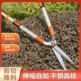 修枝剪;篱笆剪