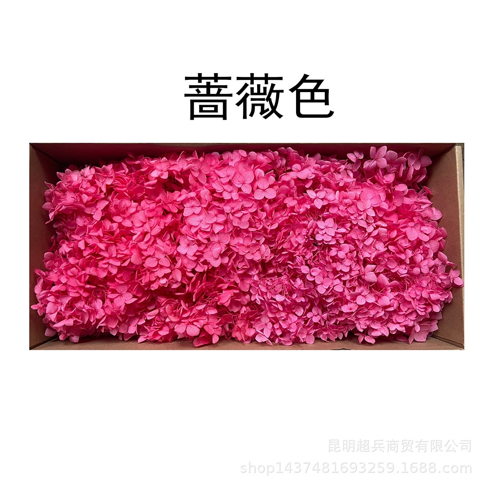 [Вечная Life Flower Hydrangea] Анна Градиентный цвет Лист Hydramid Книга цветов оптом DIY цветочная коробка материал для просмотра