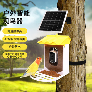 Cross-Border Popular Smart Bird Feeder Outdoor Waterproof Video Solar Feeder Customized Ai Recognition Bird Viewer