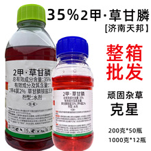 ����2�ײݸ�좳��ݠ����� ���@�ĵ��s���B�����s�ݳ��݄���Ʒ�rș