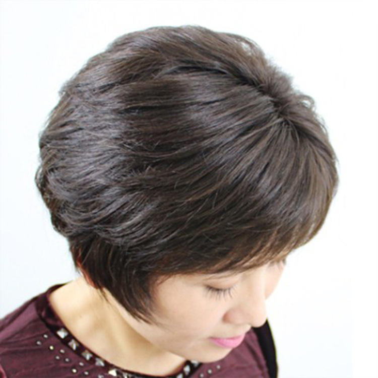 Short Hair Wig for Middle-Aged and Elderly Women, Short Hair Wig for Mother, Natural Fluffy Hair for the Elderly, Grandma's Chemical Fiber High-Temperature Silk Wig
