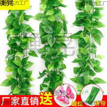 ���l���üٻ��b��{ˮ�ܵ��ٗl�ړ����~�G�}��������bGֲ